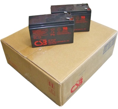 CSB GP1272 F2 Pack of 12 Lead Acid Batteries