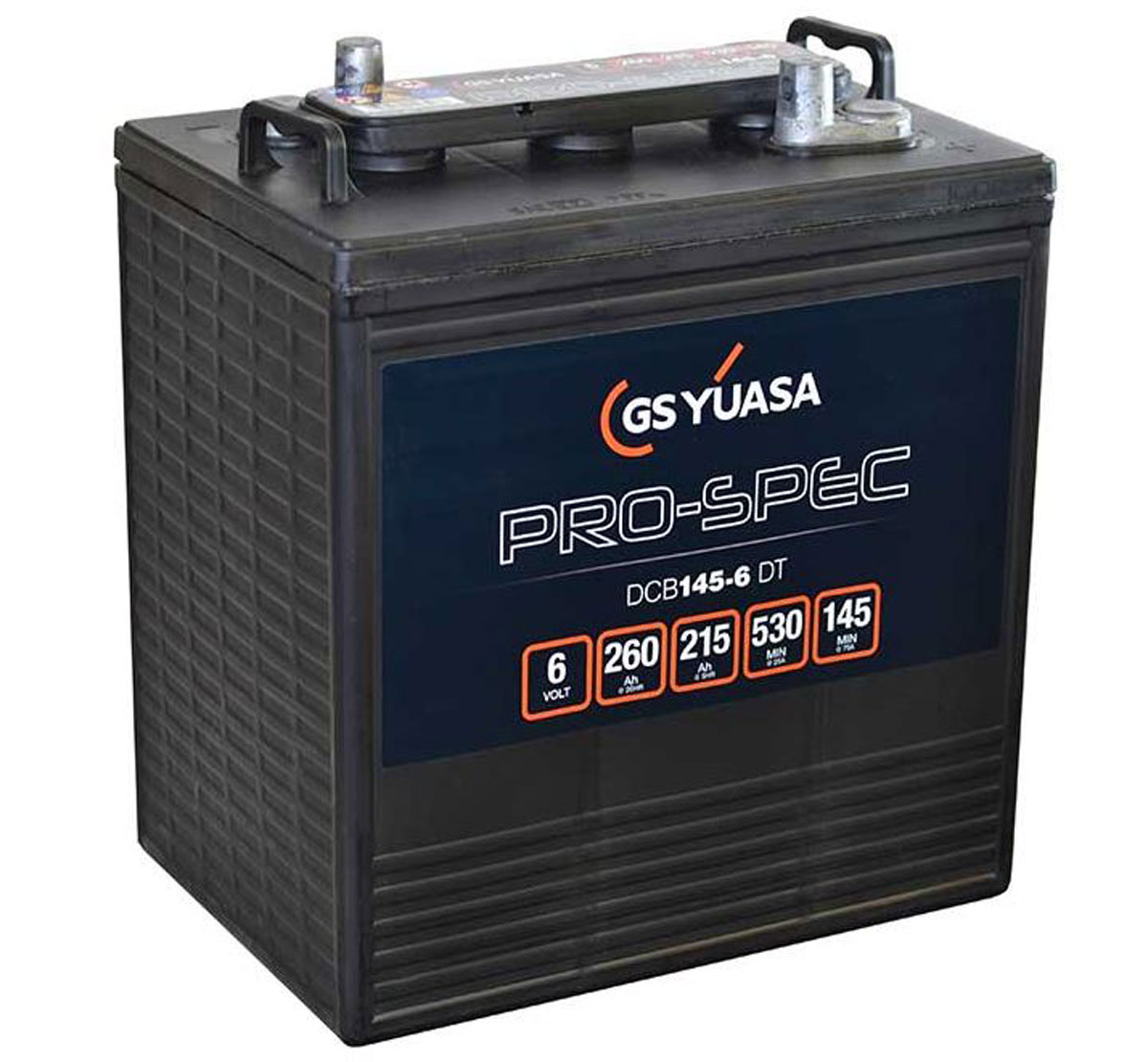 Yuasa Pro Spec DCB 145-6 6V 260Ah Battery