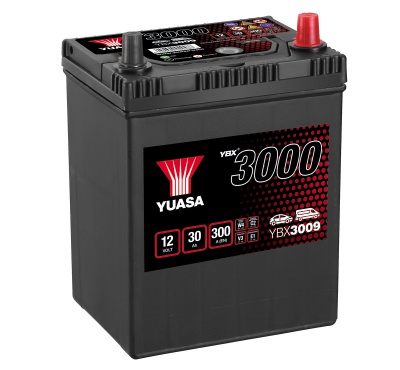 Yuasa YBX3009 12V 30Ah 009 Car Battery